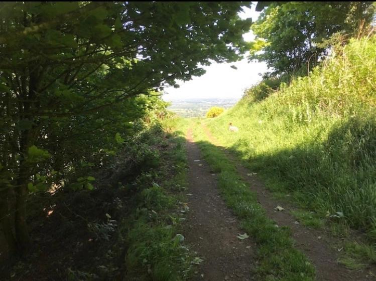 Number36, Hills Garden Access, Unique Retreat Βίλα Great Malvern Εξωτερικό φωτογραφία