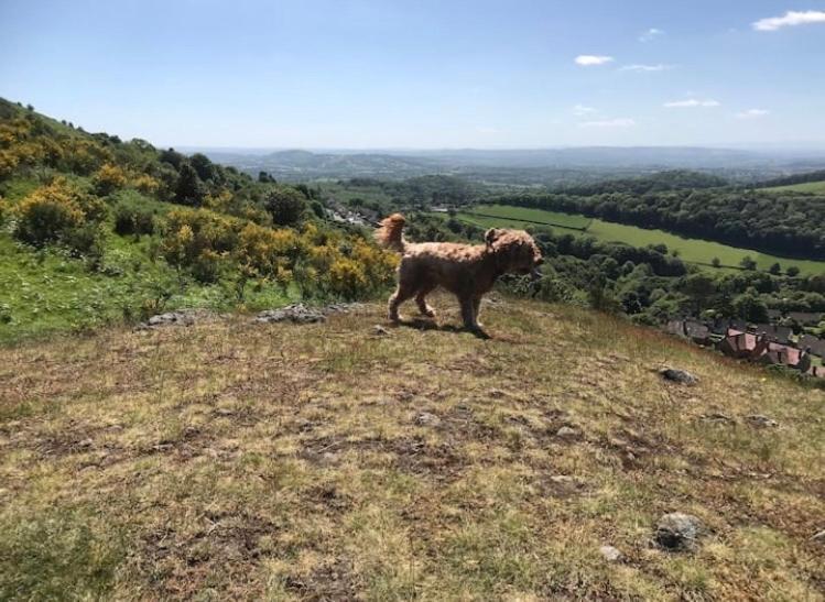 Number36, Hills Garden Access, Unique Retreat Βίλα Great Malvern Εξωτερικό φωτογραφία