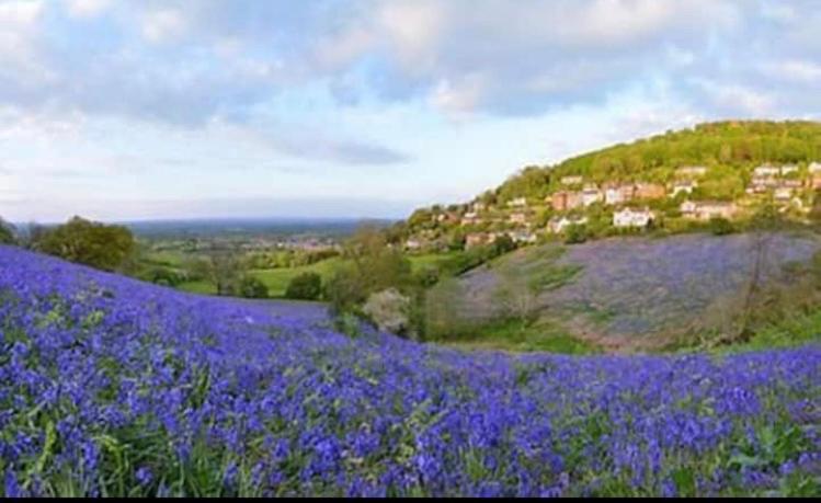 Number36, Hills Garden Access, Unique Retreat Βίλα Great Malvern Εξωτερικό φωτογραφία